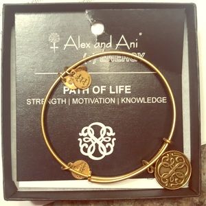 Alex and Ani Gold Bracelet